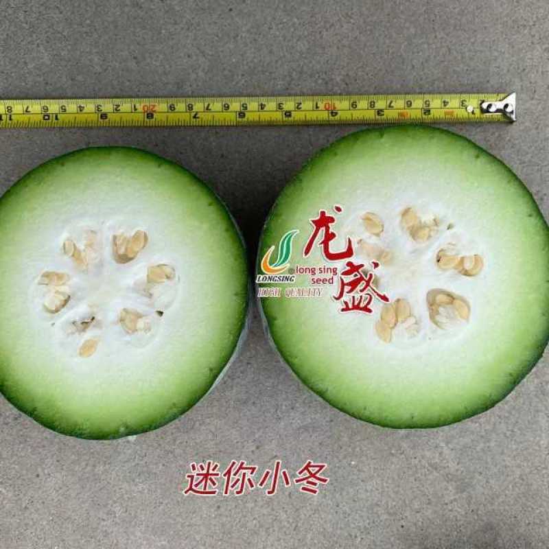 龙盛迷你小冬瓜种籽肉质翠绿口感清香高产抗病粉皮小冬瓜种子