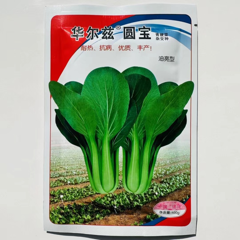 德高华尔兹圆宝青梗菜种子四季播种耐热油亮型青菜种籽华尔兹