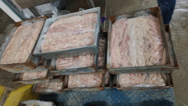 95精品预煮大肠，干水鲜大肠