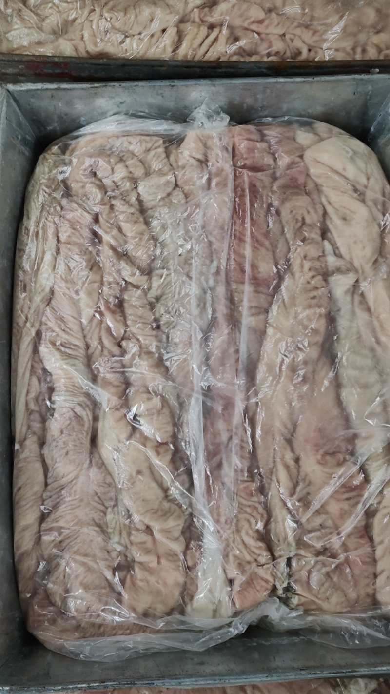 95精品预煮大肠，干水鲜大肠