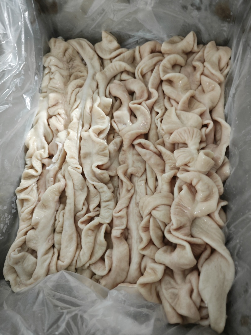 95精品预煮大肠，干水鲜大肠