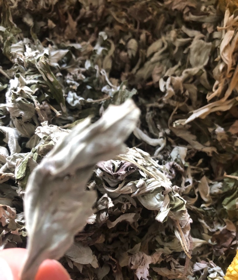 伏牛山大叶艾，可根据需求做规格，采的种子，根苗也有。