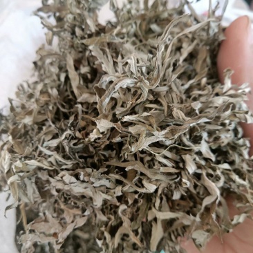 伏牛山小叶艾，纯叶，可根据需求做规格，根苗，种子也有。