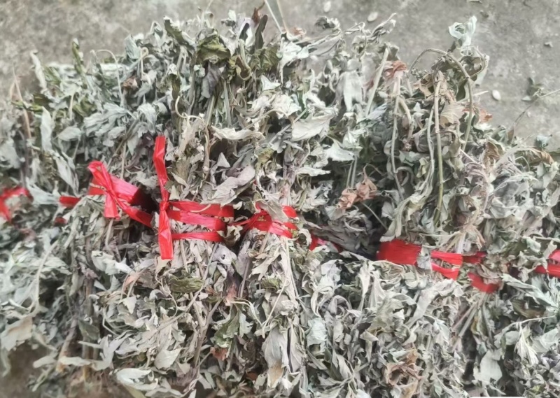 伏牛山小叶艾，纯叶，可根据需求做规格，根苗，种子也有。