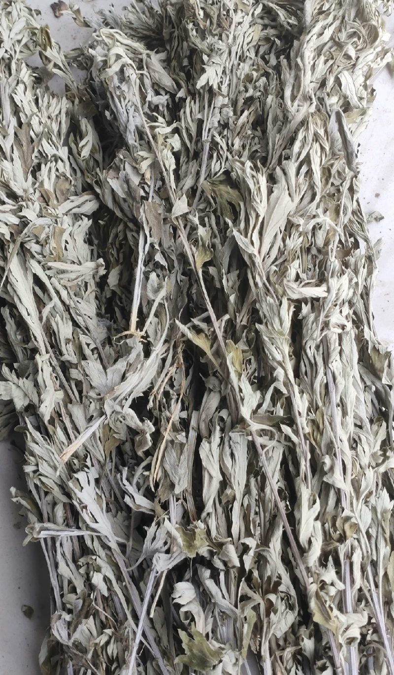 伏牛山小叶艾，纯叶，可根据需求做规格，根苗，种子也有。