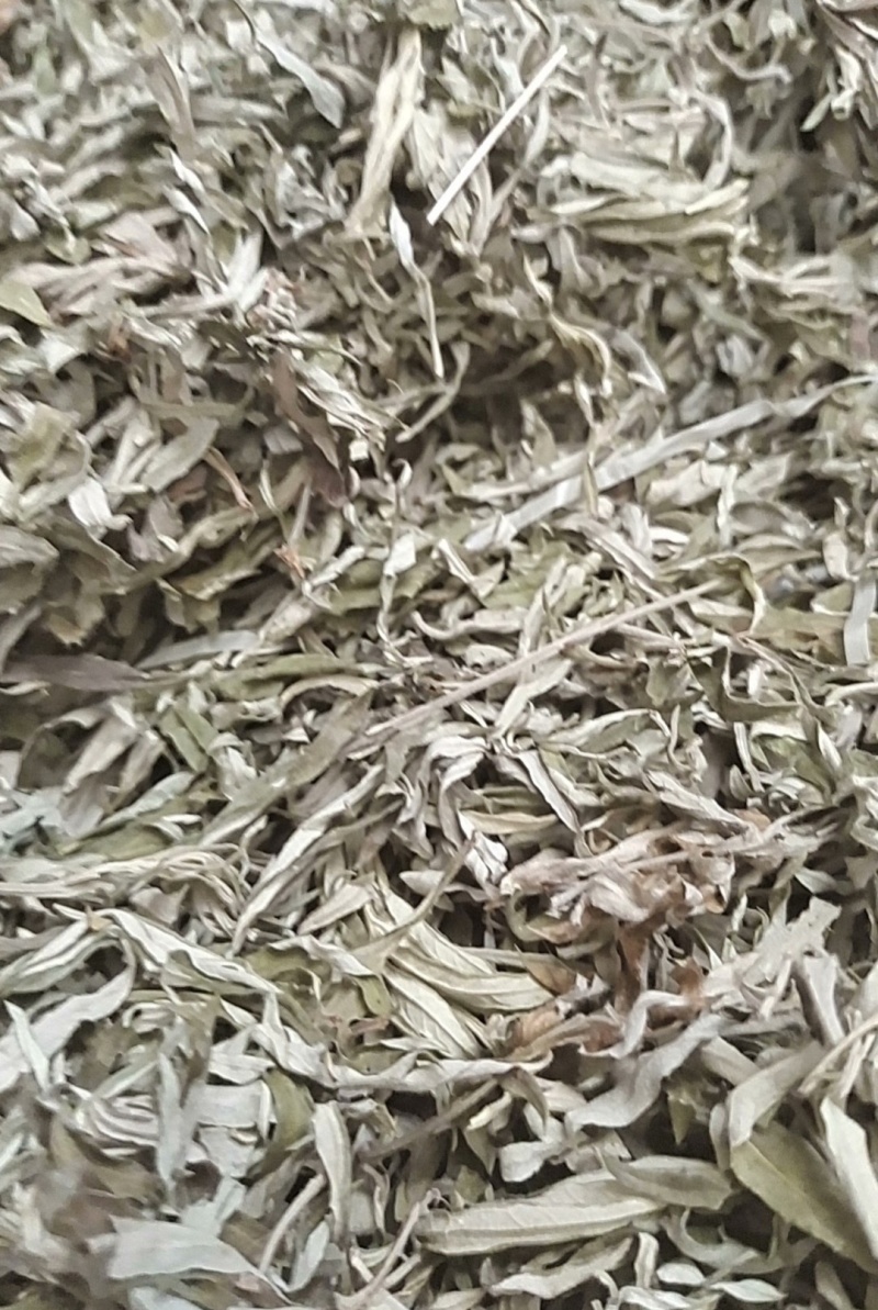 伏牛山小叶艾，纯叶，可根据需求做规格，根苗，种子也有。