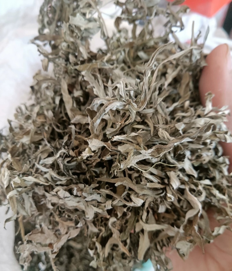 伏牛山小叶艾，纯叶，可根据需求做规格，根苗，种子也有。