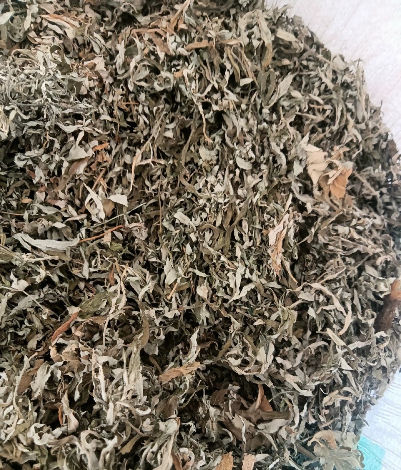 伏牛山小叶艾，纯叶，可根据需求做规格，根苗，种子也有。
