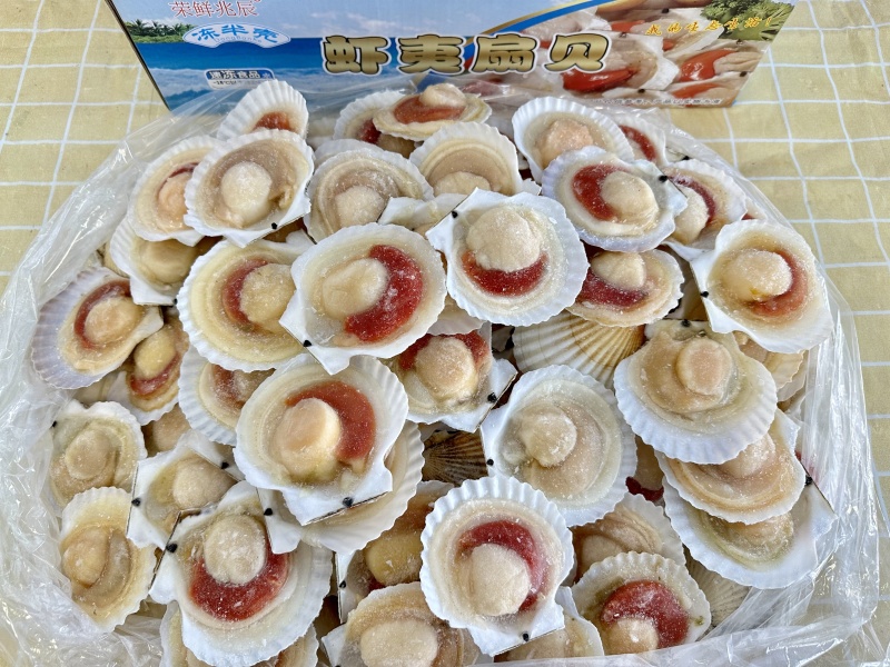 扇贝冻货
