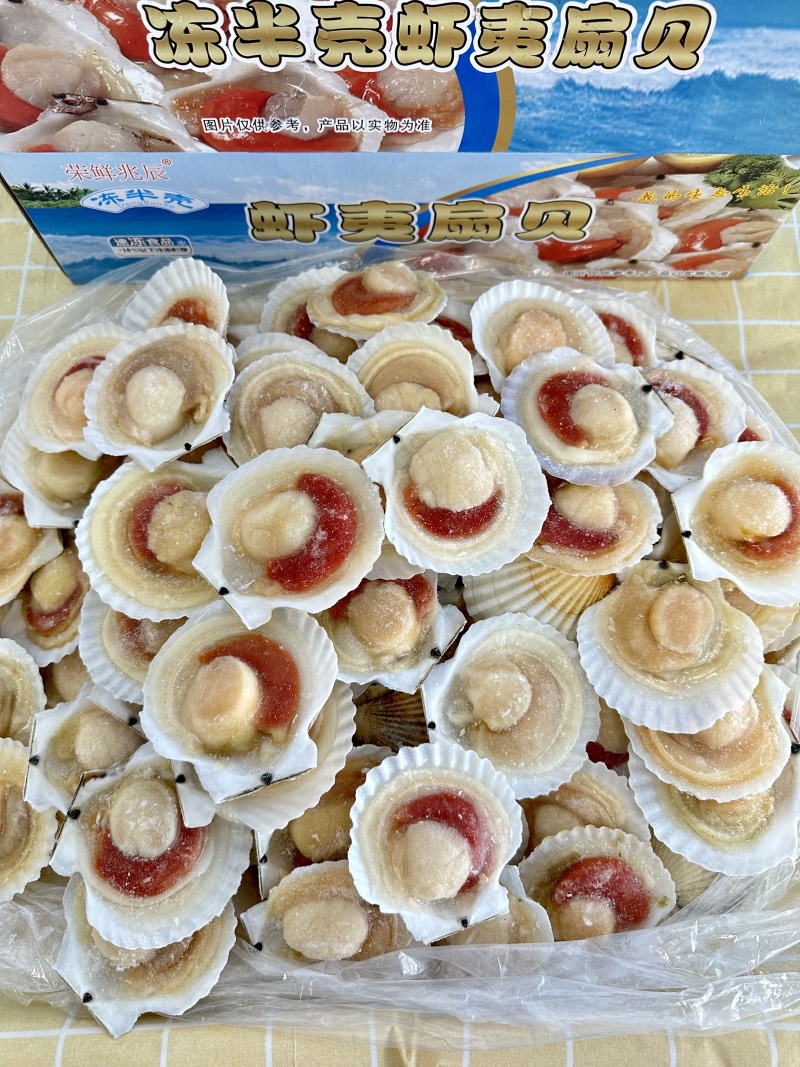 扇贝冻货