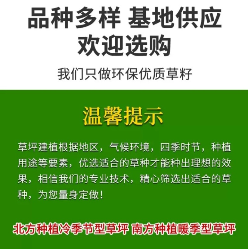 草坪种子四季青庭院耐旱耐踩黑麦草狗牙根草子种护坡绿化种子
