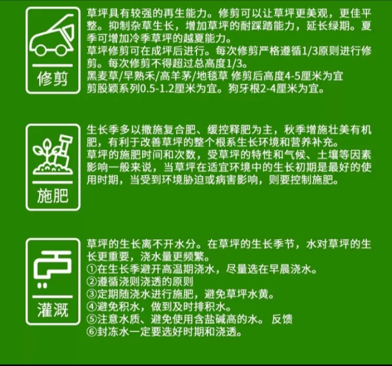 草坪种子四季青庭院耐旱耐踩黑麦草狗牙根草子种护坡绿化种子