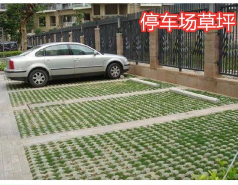 草坪种子四季青庭院耐旱耐踩黑麦草狗牙根草子种护坡绿化种子