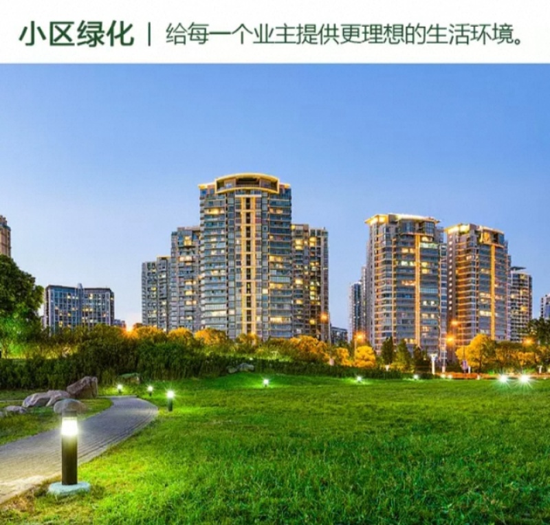 草坪种子四季青庭院耐旱耐踩黑麦草狗牙根草子种护坡绿化种子