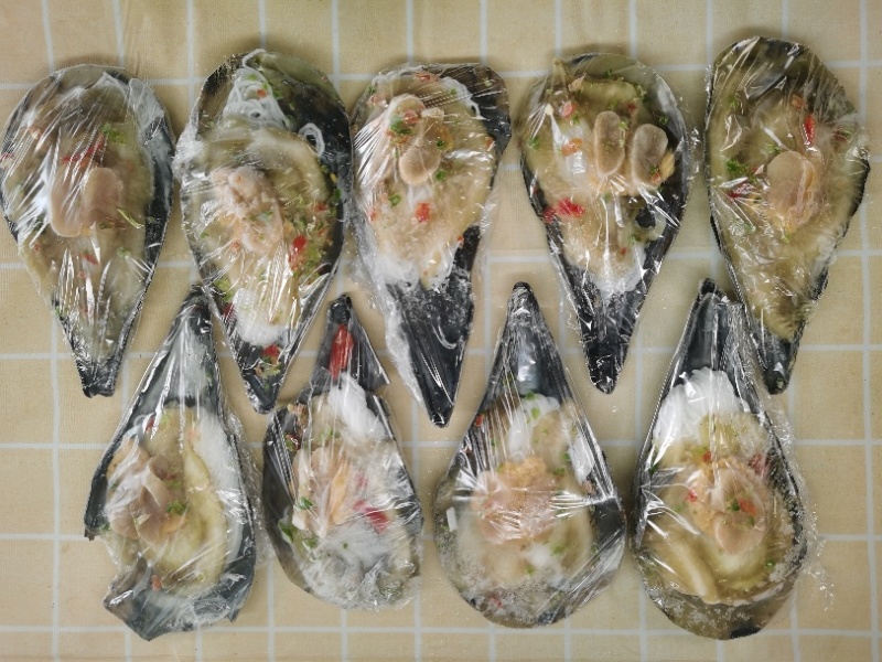 半壳带子/绿贝