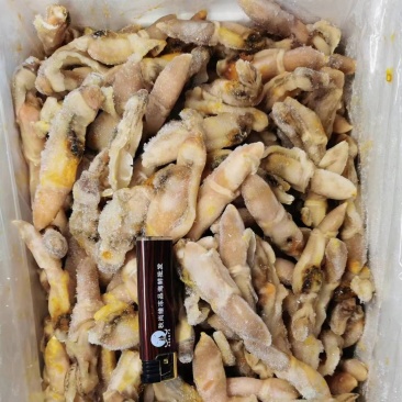 蛏肉