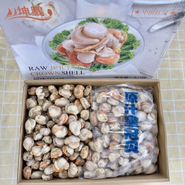 黄冠贝