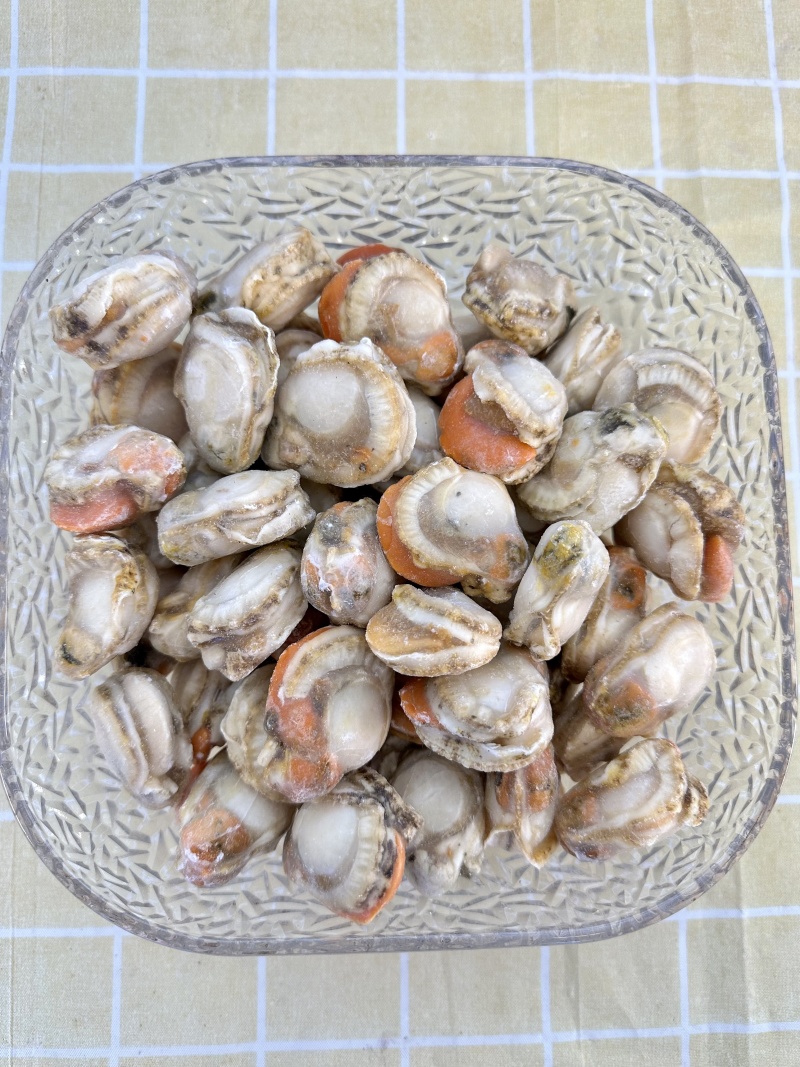 黄冠贝