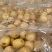 苹果维纳斯黄金苹果