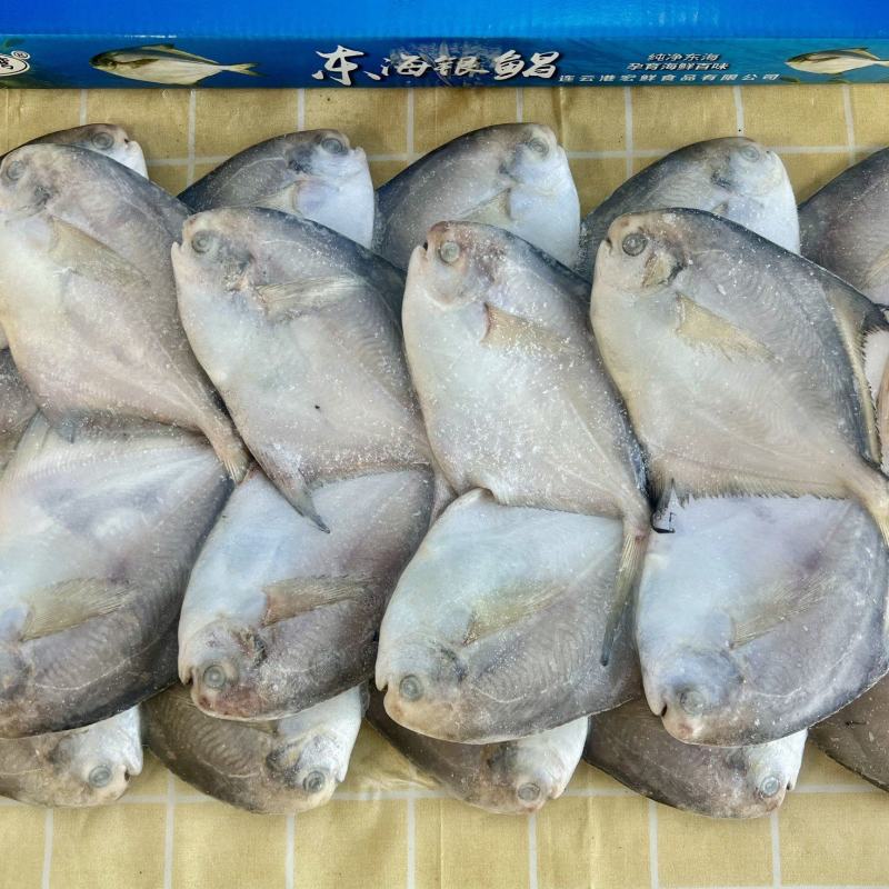 鲳鱼