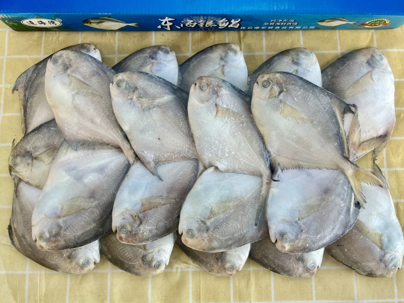 鲳鱼