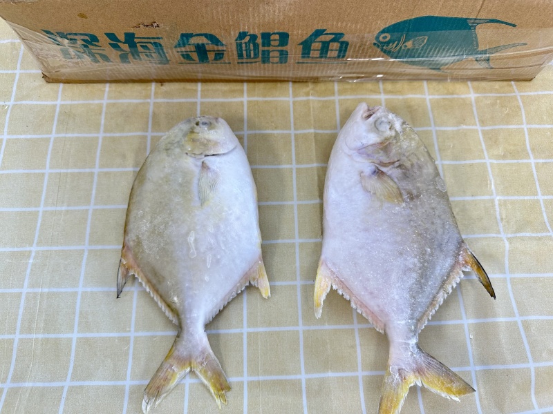 鲳鱼