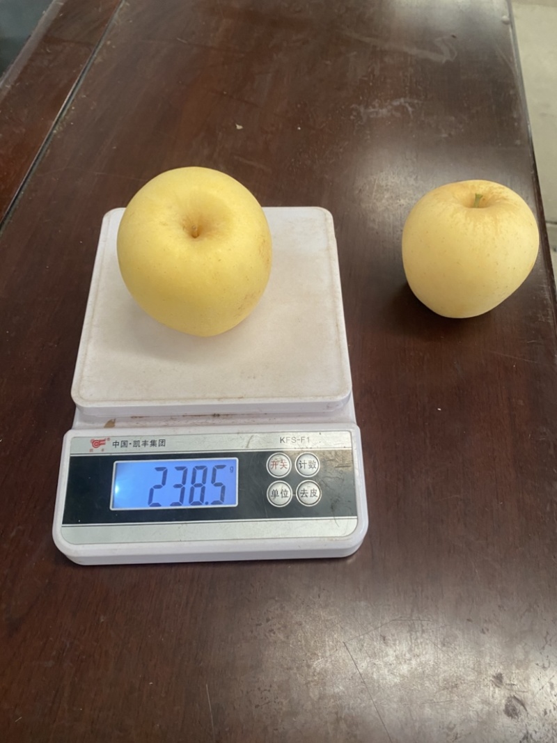 苹果维纳斯黄金苹果