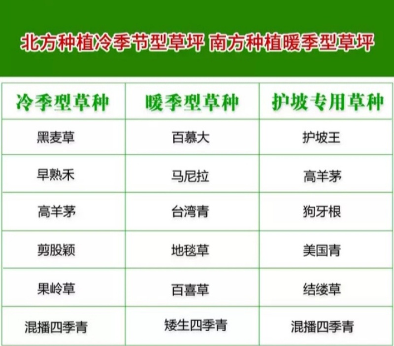 草坪种子四季青庭院耐旱耐踩黑麦草狗牙根草子种护坡绿化种子