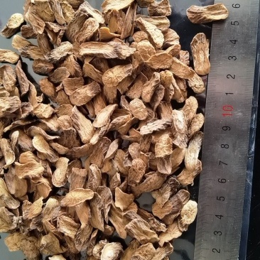 牛蒡，大中小片，产地一手货源