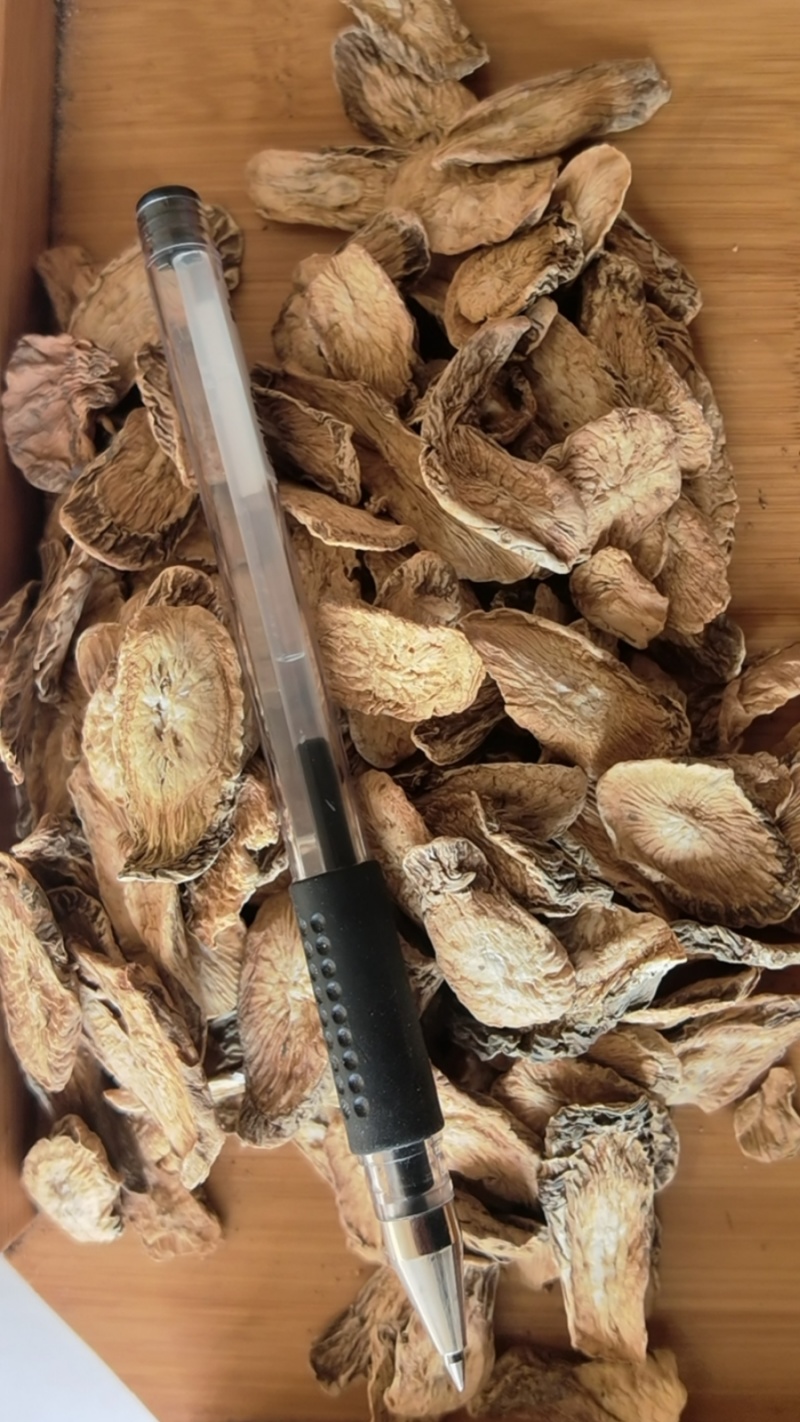牛蒡，大中小片，产地一手货源