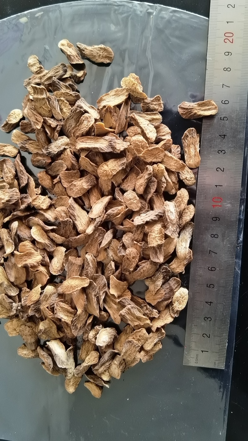 牛蒡，大中小片，产地一手货源