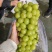 【热卖推荐】河北石家庄产区精品阳光玫瑰可对接商超欢迎选