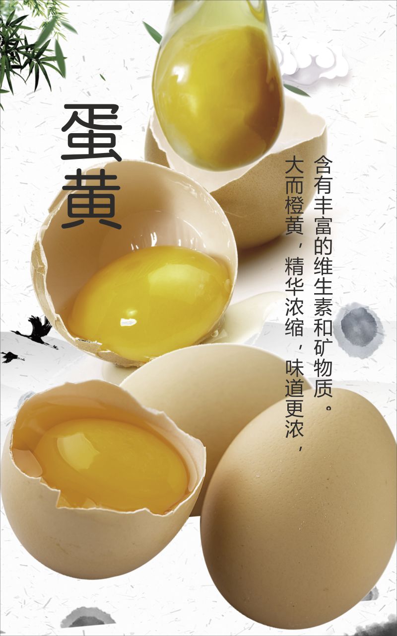 【热卖】海兰灰粉壳鲜鸡蛋，基地直发，价格实惠
