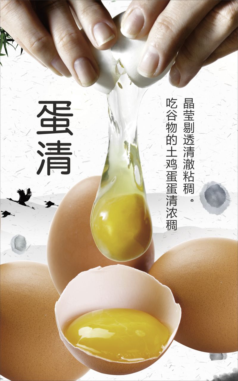 【热卖】海兰灰粉壳鲜鸡蛋，基地直发，价格实惠