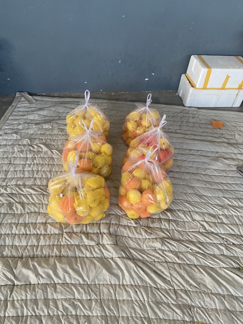 苹果维纳斯黄金苹果