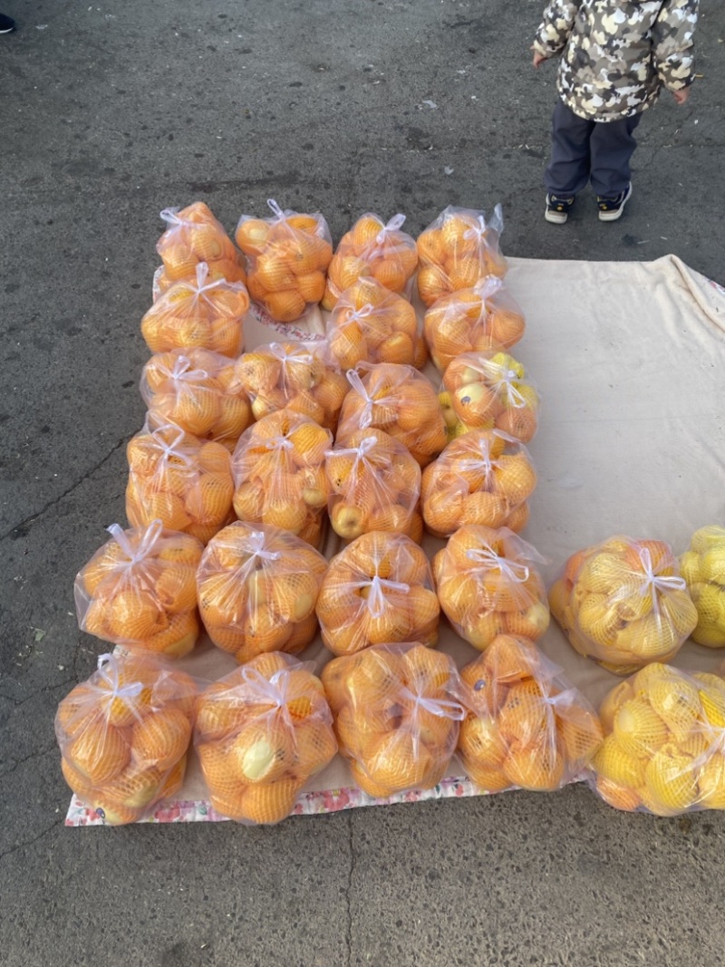 苹果维纳斯黄金苹果