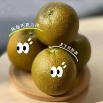 黑美人粽橙，秭归特色品种，纯甜化渣，又名巧克力橙