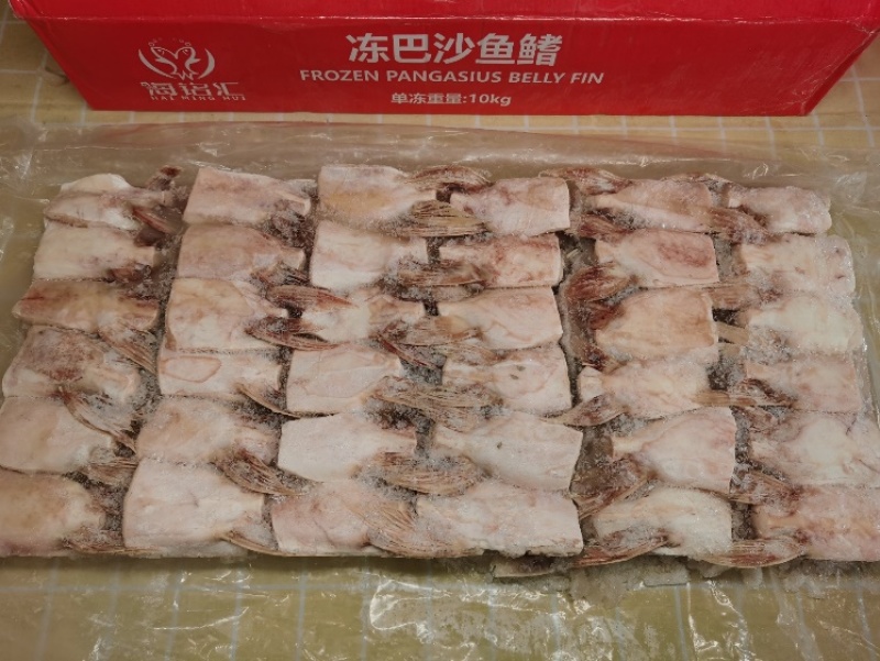 开背巴沙鱼