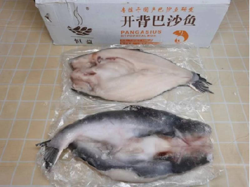 开背巴沙鱼