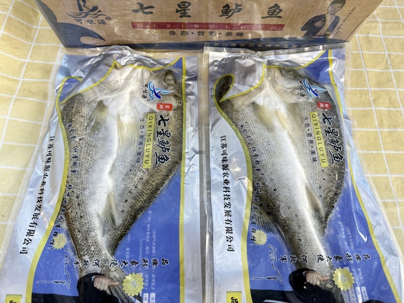 鲈鱼