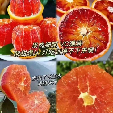 【一件代发]中华红血橙对接多多买菜社区团购各大电商