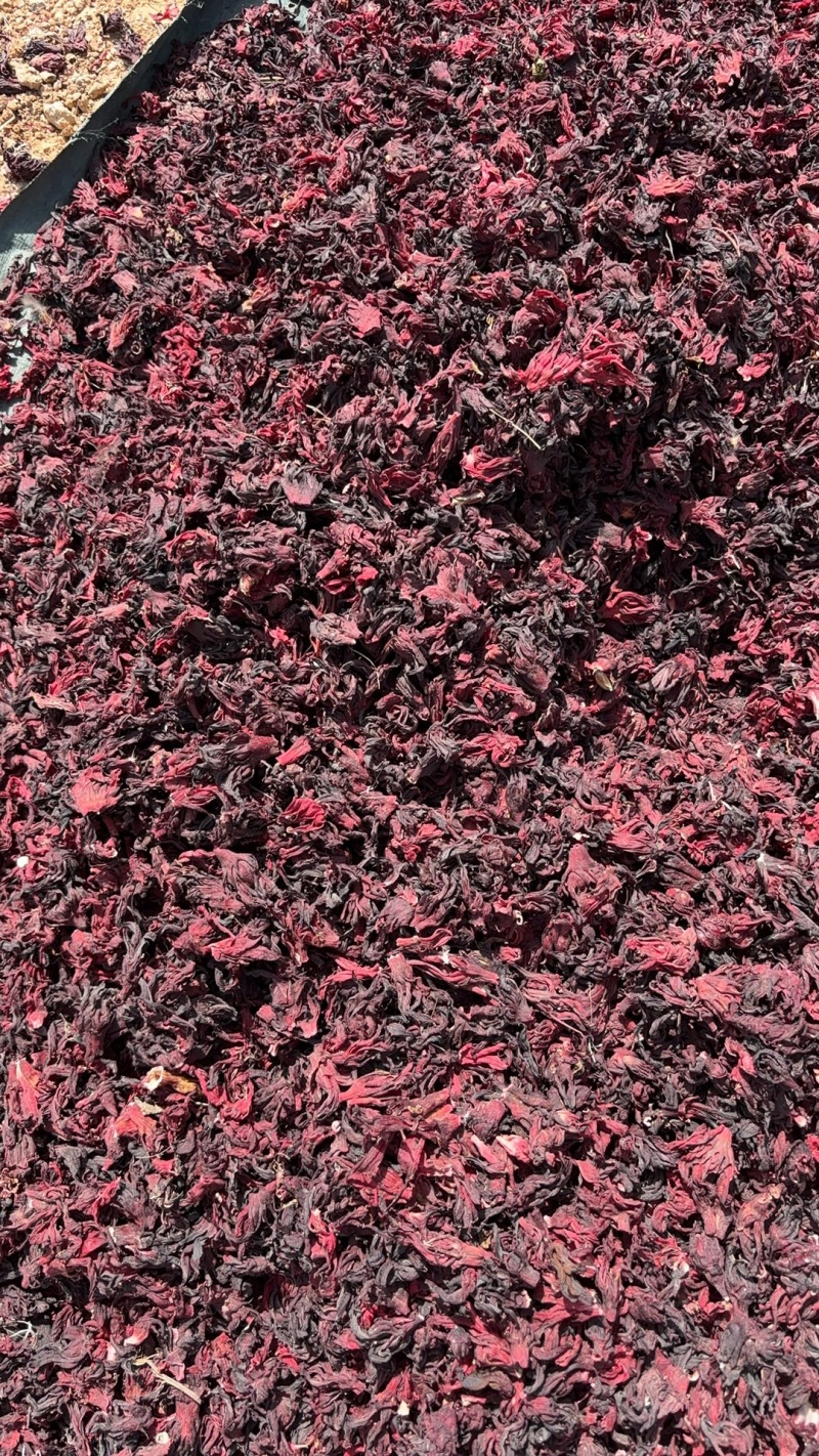玫瑰茄，洛神花，水洗玫瑰茄，进口玫瑰茄洛神花