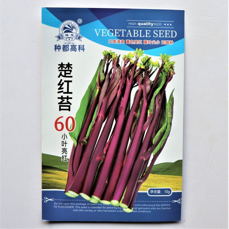 楚红苔60红菜苔种子早熟亮红无腊粉抽苔快农家秋播