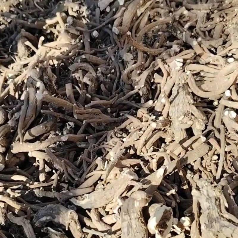 野生二代赤芍高含量成份出售干通货不带狗斗。