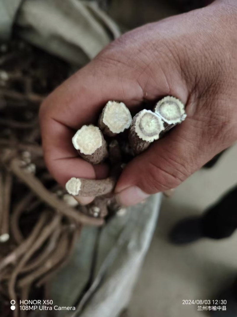 野生二代赤芍高含量成份出售干通货不带狗斗。