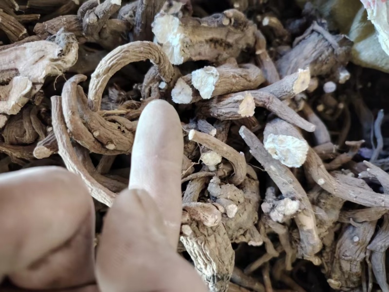 野生二代赤芍高含量成份出售干通货不带狗斗。