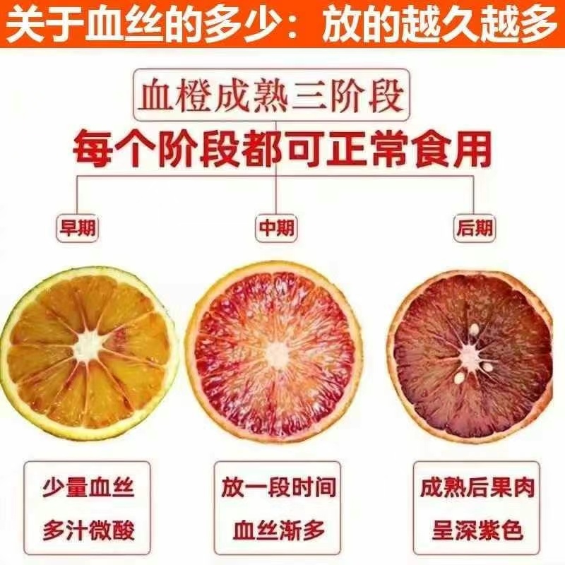 [塔罗科血橙]电商代发多多买菜美团优选团购一件代发