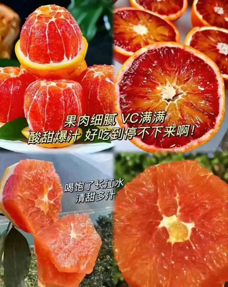 [塔罗科血橙]电商代发多多买菜美团优选团购一件代发