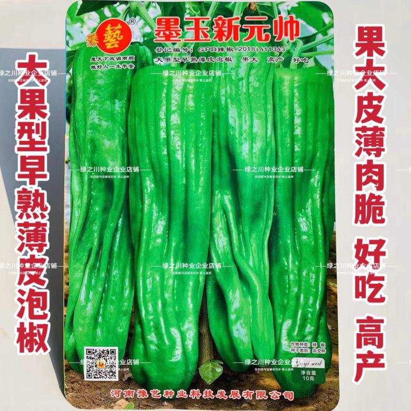墨玉新元帅辣椒种子大果薄皮泡椒种子早熟皮薄肉脆好吃高产