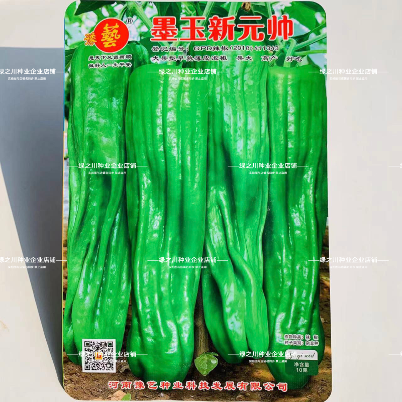 墨玉新元帅辣椒种子大果薄皮泡椒种子早熟皮薄肉脆好吃高产